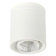 LED COB RD012 20W 4000K WHITE