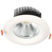 LED COB D025 30W 4000K WHITE