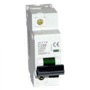 10VTB-1С100 1P 100A 10KA